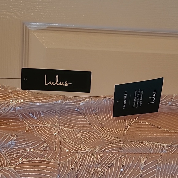 Stunning Lulu's Blush Pink Gown US 6/ 8 - Picture 5 of 5